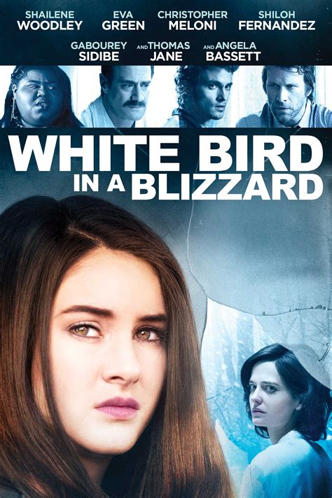 white bird in a blizzard imdb|white bird in a blizzard movie.